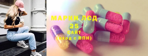 ПСИЛОЦИБИНОВЫЕ ГРИБЫ Гусь-Хрустальный