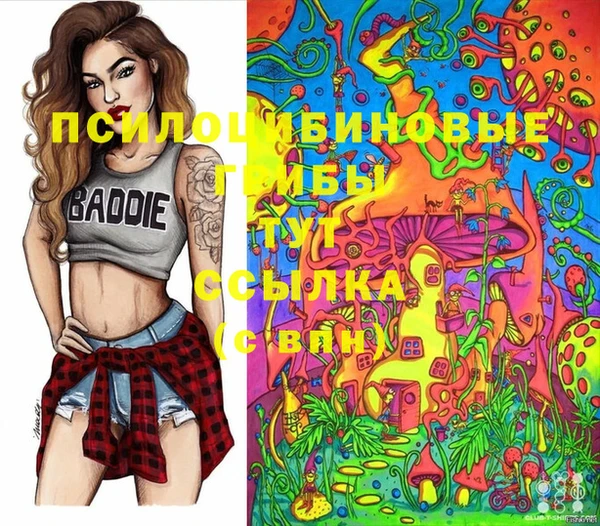 марки nbome Горнозаводск