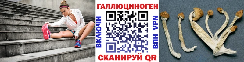купить   Нефтекамск  Галлюциногенные грибы прущие грибы 